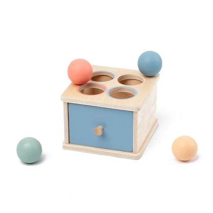 Montessori Wooden Coin & Shape Box Educational Toy