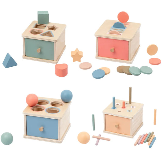 Montessori Wooden Coin & Shape Box Educational Toy