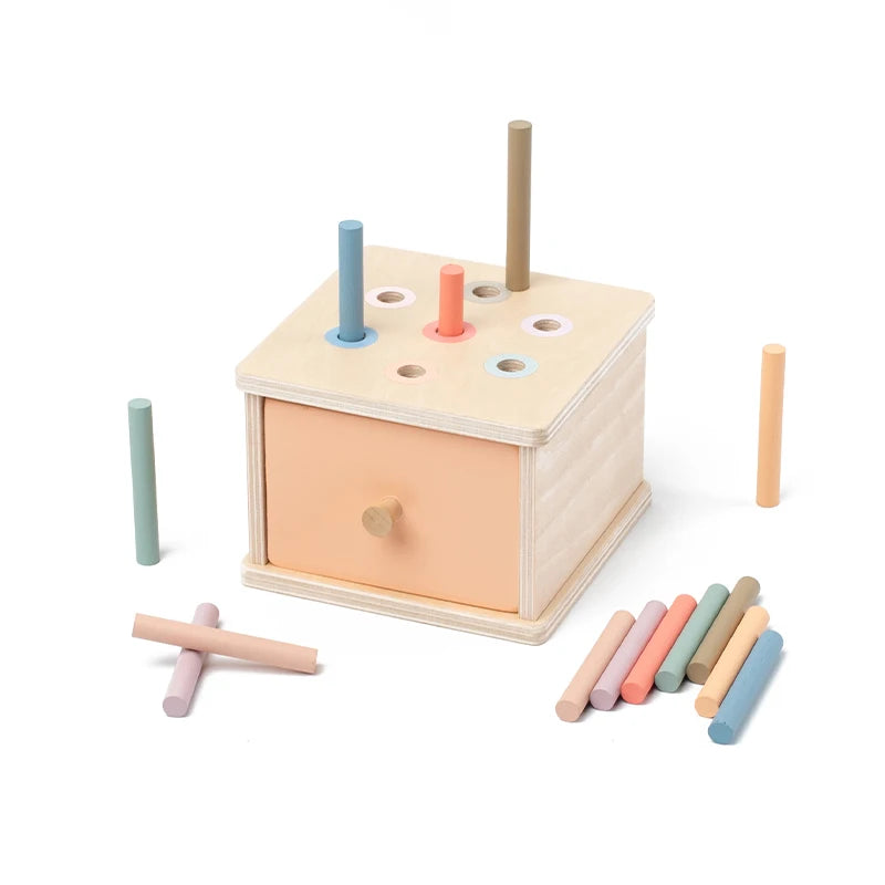 Montessori Wooden Coin & Shape Box Educational Toy